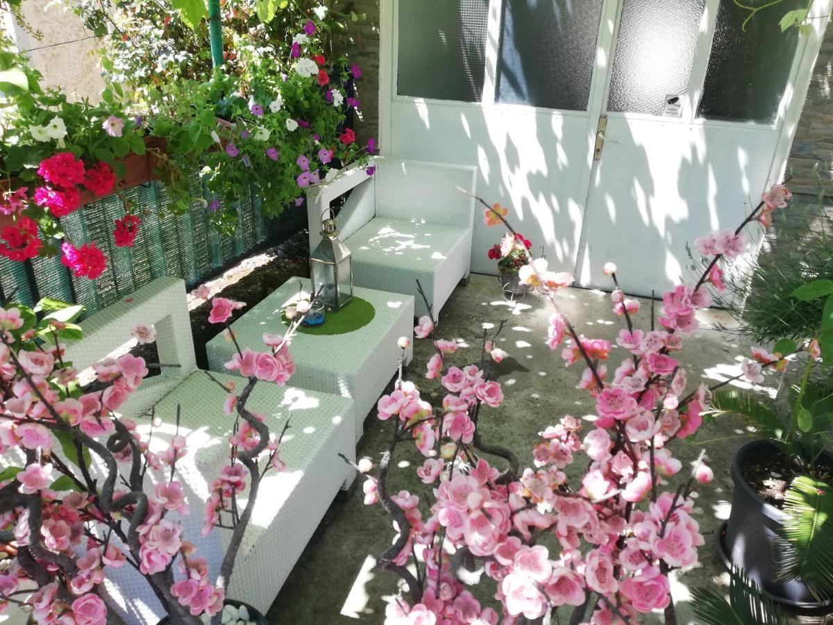 Apartman Teuta Zagrzeb Zewnętrze zdjęcie