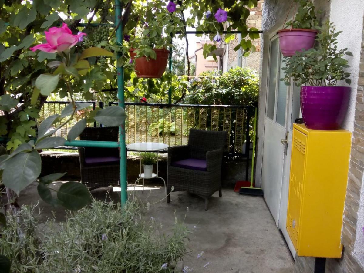 Apartman Teuta Zagrzeb Zewnętrze zdjęcie