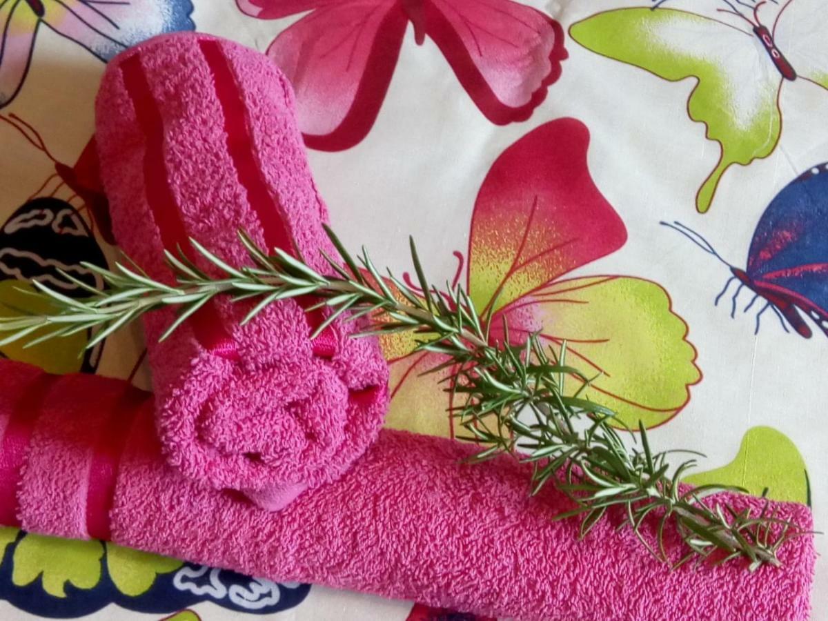 Apartman Teuta Zagrzeb Zewnętrze zdjęcie