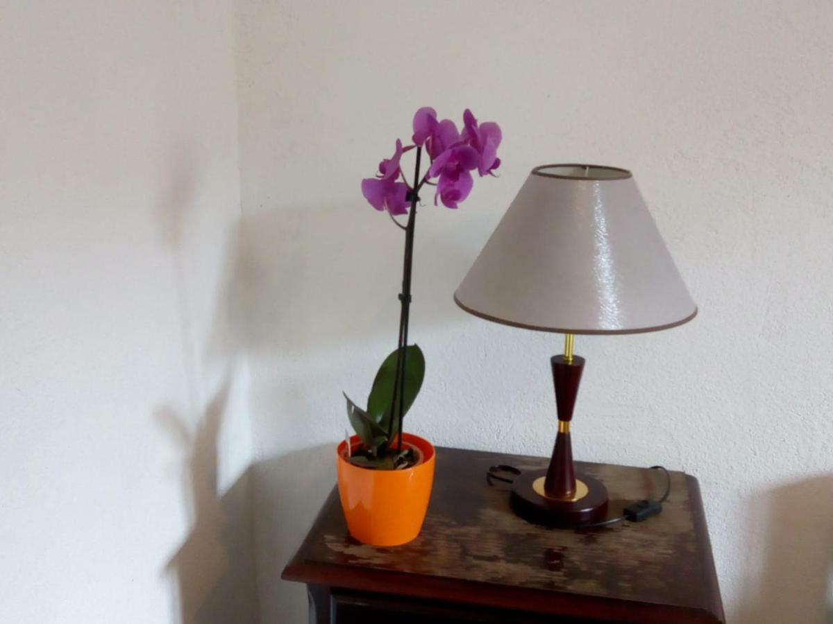 Apartman Teuta Zagrzeb Zewnętrze zdjęcie