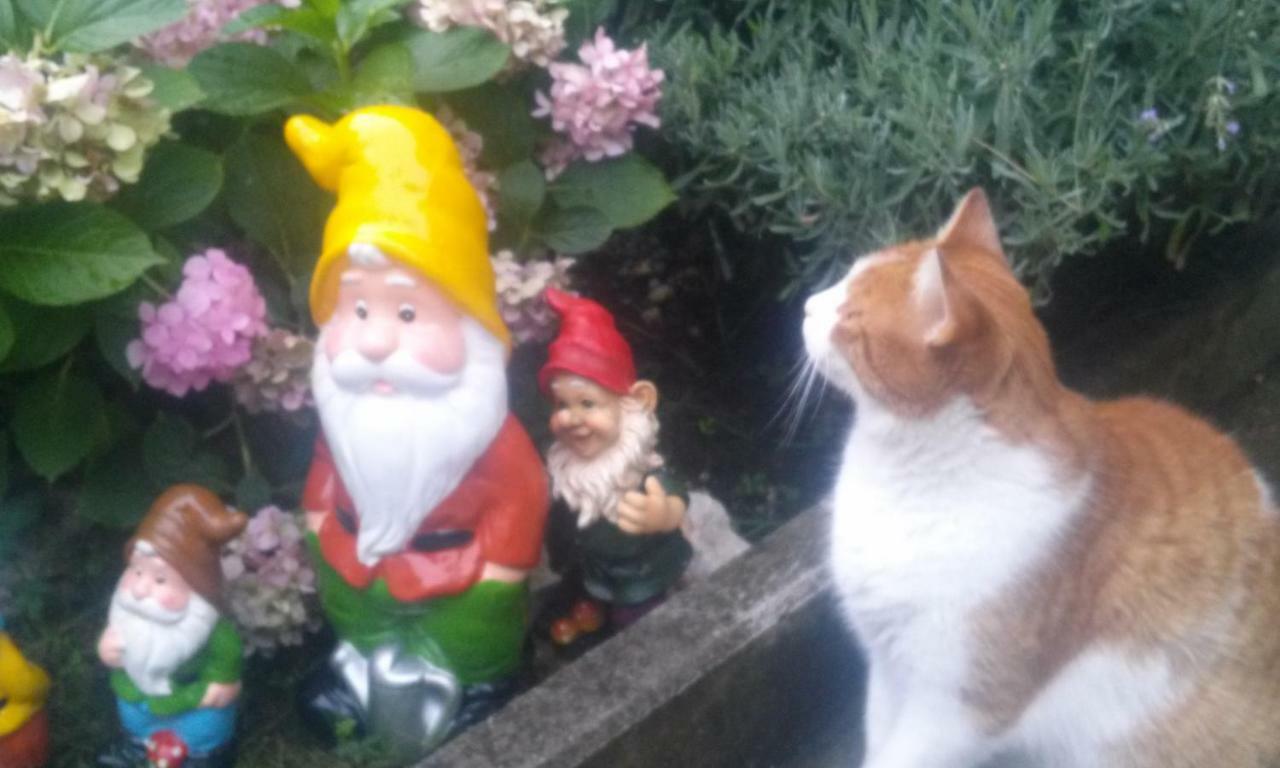 Apartman Teuta Zagrzeb Zewnętrze zdjęcie