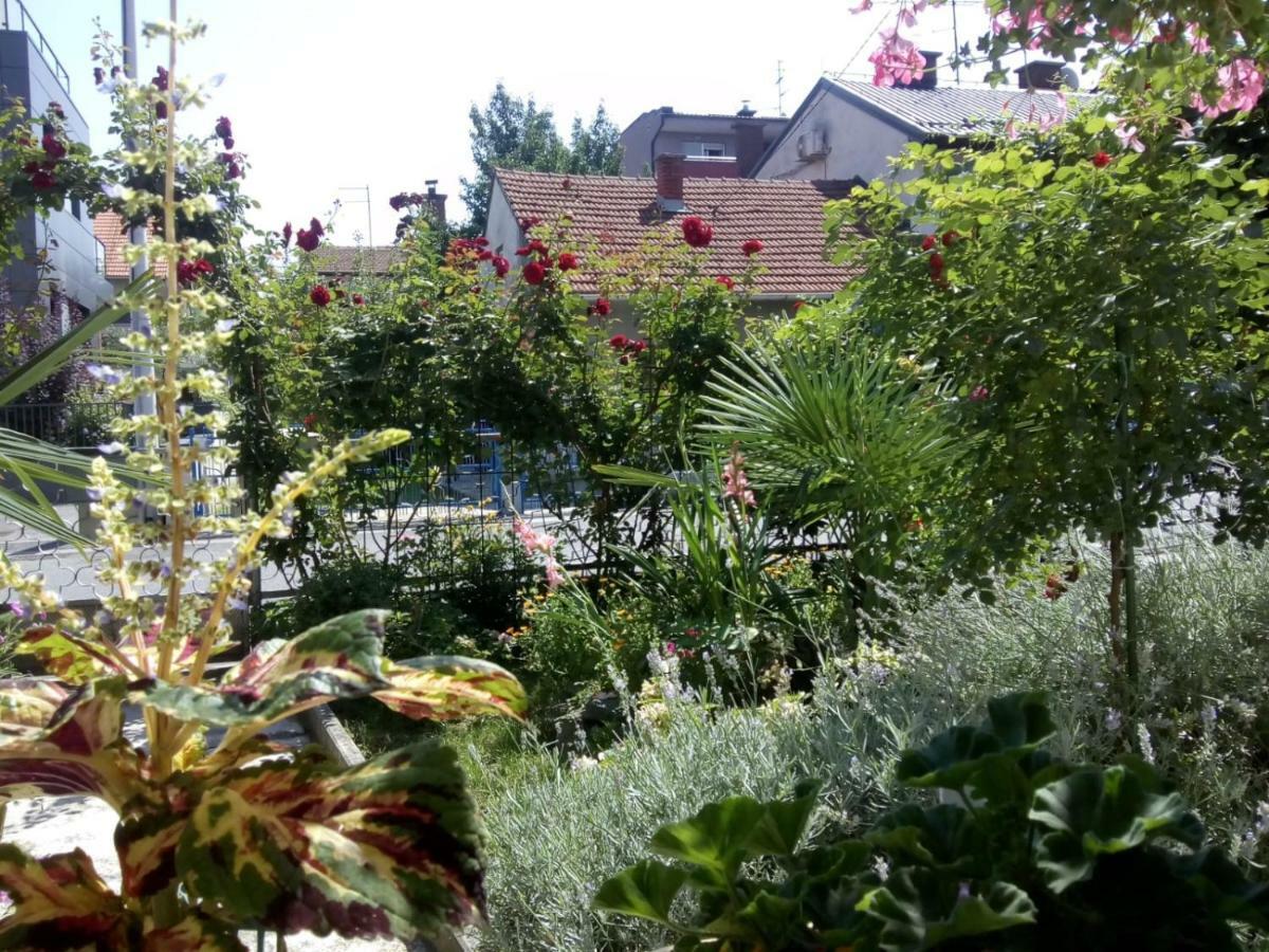 Apartman Teuta Zagrzeb Zewnętrze zdjęcie