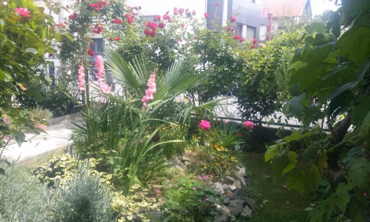 Apartman Teuta Zagrzeb Zewnętrze zdjęcie