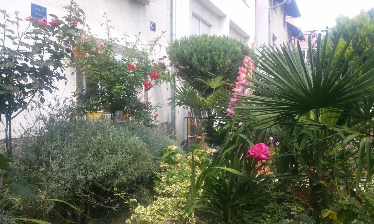 Apartman Teuta Zagrzeb Zewnętrze zdjęcie
